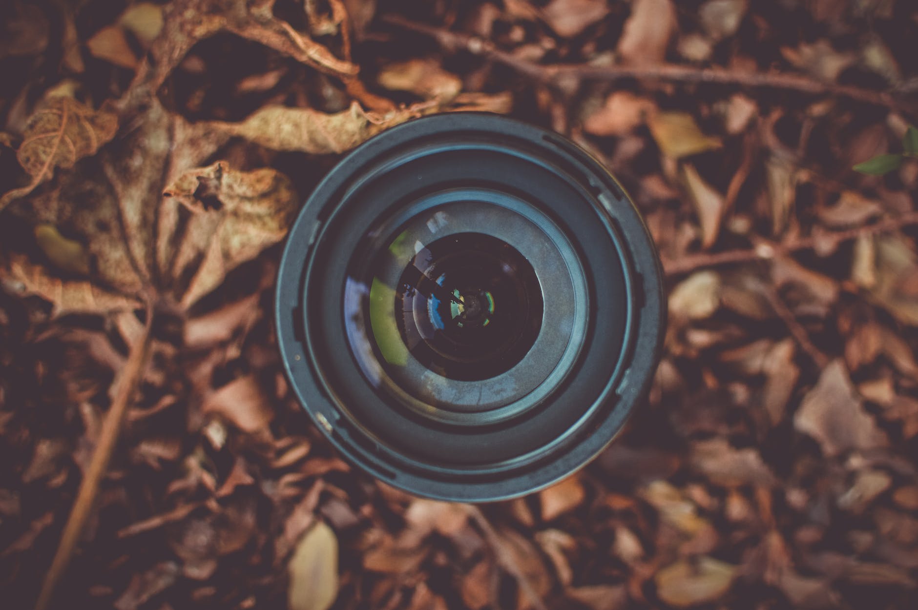 black camera lens on brown dried leaf